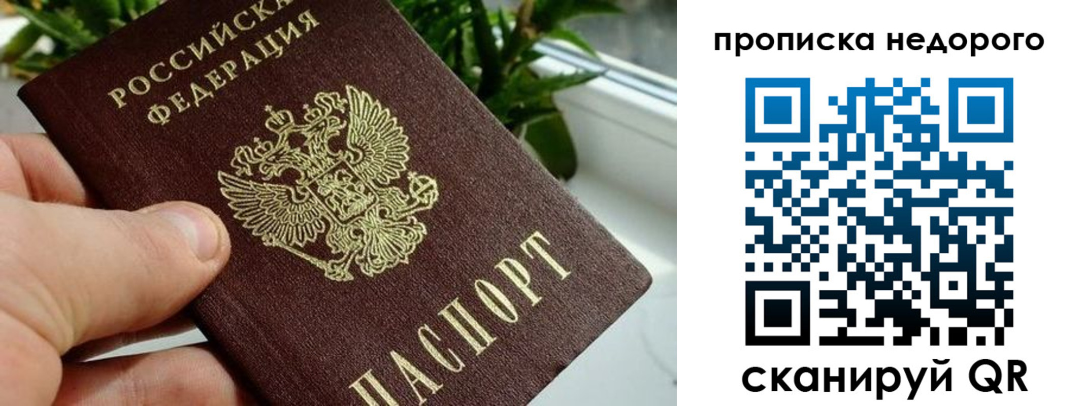 прописка для кредита в Каргате